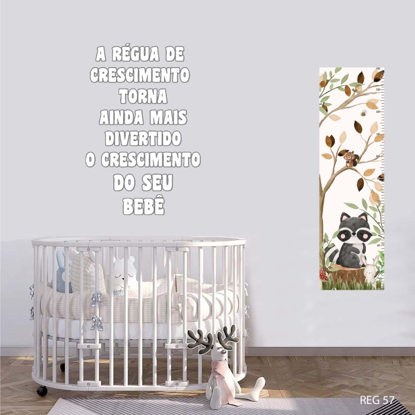 Régua de crescimento Bosque